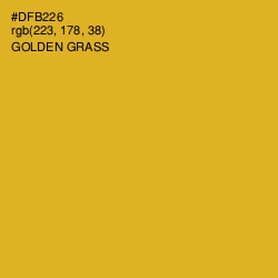 #DFB226 - Golden Grass Color Image